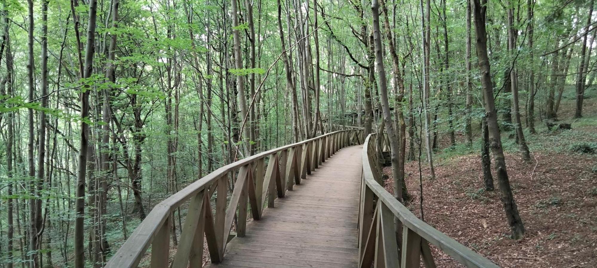 Altos De La Hayuela, A 7 Min De Comillas Bagian luar foto